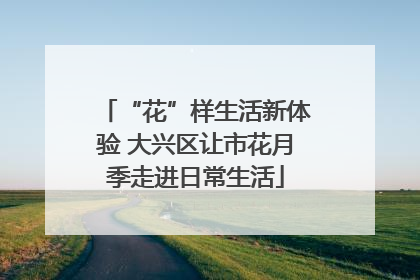 “花”样生活新体验 大兴区让市花月季走进日常生活