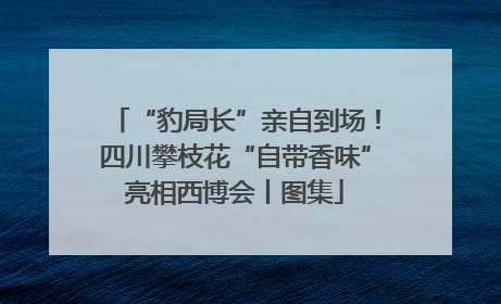 “豹局长”亲自到场！四川攀枝花“自带香味”亮相西博会丨图集