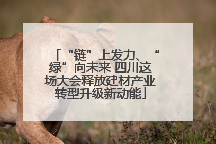 “链”上发力、“绿”向未来 四川这场大会释放建材产业转型升级新动能