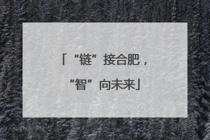 “链”接合肥，“智”向未来