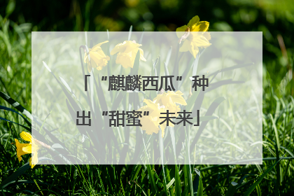 “麒麟西瓜”种出“甜蜜”未来