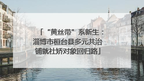 “黄丝带”系新生：淄博市桓台县多元共治铺就社矫对象回归路