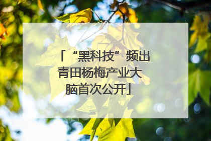 “黑科技”频出 青田杨梅产业大脑首次公开