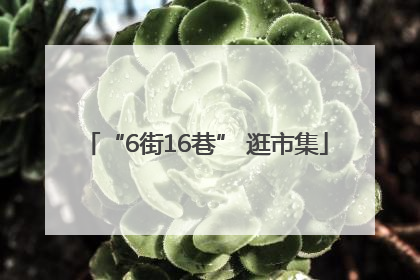 “6街16巷” 逛市集