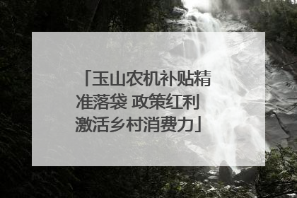 玉山农机补贴精准落袋 政策红利激活乡村消费力