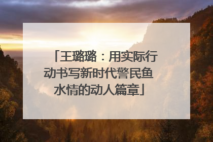 王璐璐：用实际行动书写新时代警民鱼水情的动人篇章