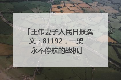 王伟妻子人民日报撰文：81192，一架永不停航的战机