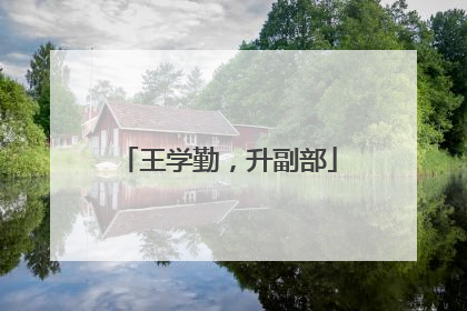 王学勤，升副部
