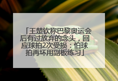 王楚钦称巴黎奥运会后有过放弃的念头，回应球拍2次受损：怕球拍再坏用副板练习