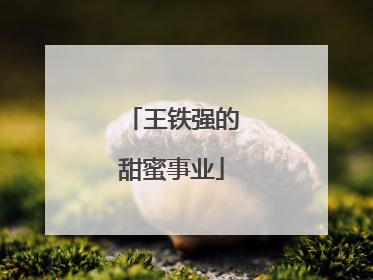 王铁强的甜蜜事业