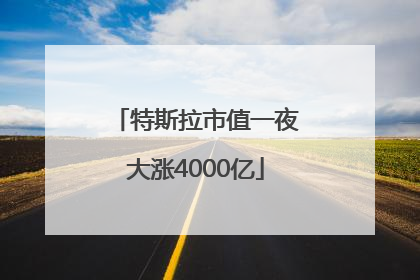 特斯拉市值一夜大涨4000亿