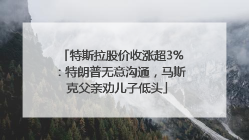 特斯拉股价收涨超3%：特朗普无意沟通，马斯克父亲劝儿子低头