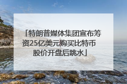 特朗普媒体集团宣布筹资25亿美元购买比特币 股价开盘后跳水