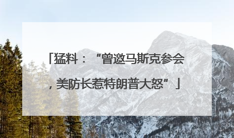 猛料：“曾邀马斯克参会，美防长惹特朗普大怒”