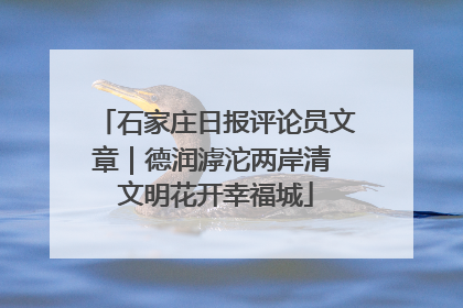 石家庄日报评论员文章｜德润滹沱两岸清 文明花开幸福城