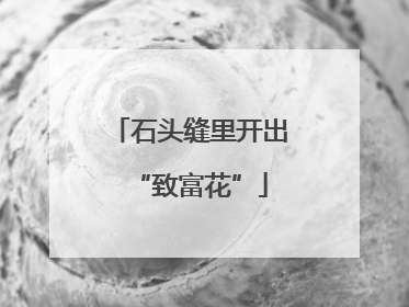 石头缝里开出“致富花”