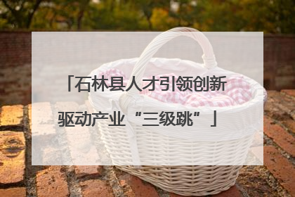 石林县人才引领创新驱动产业“三级跳”