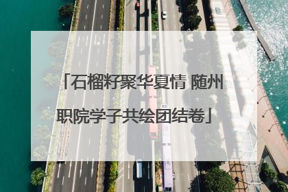 石榴籽聚华夏情 随州职院学子共绘团结卷