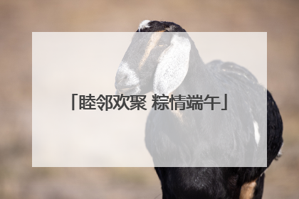 睦邻欢聚 粽情端午