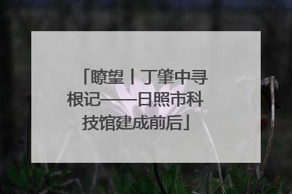 瞭望丨丁肇中寻根记——日照市科技馆建成前后