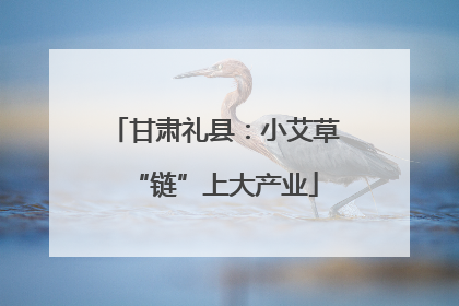 甘肃礼县：小艾草“链”上大产业