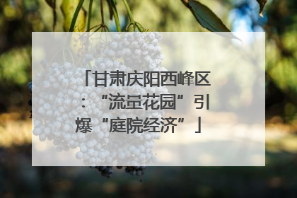 甘肃庆阳西峰区：“流量花园”引爆“庭院经济”