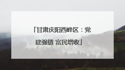 甘肃庆阳西峰区：党建强链 富民增收