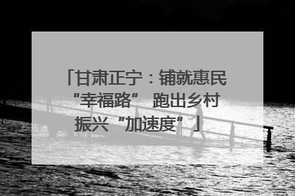 甘肃正宁：铺就惠民“幸福路” 跑出乡村振兴“加速度”