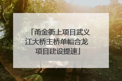 甬金衢上项目武义江大桥主桥单幅合龙 项目建设提速