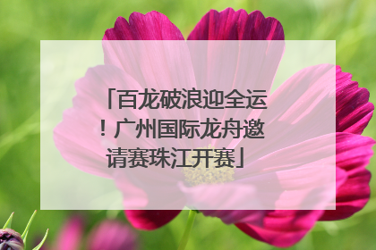 百龙破浪迎全运！广州国际龙舟邀请赛珠江开赛