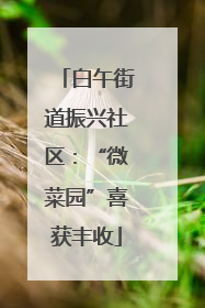 白午街道振兴社区：“微菜园”喜获丰收