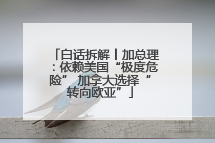 白话拆解丨加总理：依赖美国“极度危险” 加拿大选择“转向欧亚”