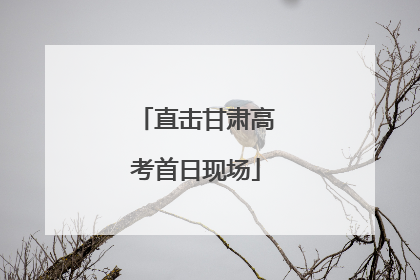直击甘肃高考首日现场