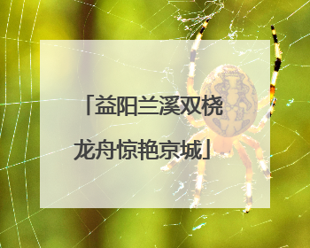 益阳兰溪双桡龙舟惊艳京城