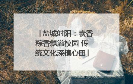 盐城射阳：囊香粽香飘溢校园 传统文化深植心田