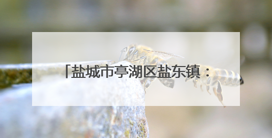 盐城市亭湖区盐东镇：无结核社区行动守护健康 ·共建无结核社区