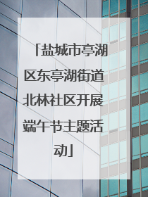 盐城市亭湖区东亭湖街道北林社区开展端午节主题活动