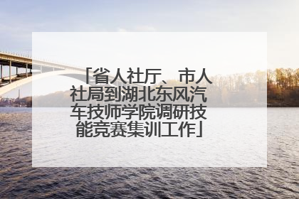 省人社厅、市人社局到湖北东风汽车技师学院调研技能竞赛集训工作