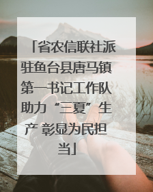 省农信联社派驻鱼台县唐马镇第一书记工作队助力“三夏”生产 彰显为民担当