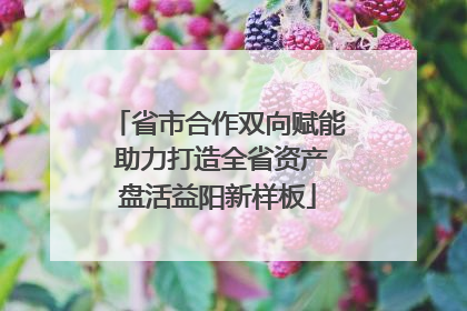 省市合作双向赋能 助力打造全省资产盘活益阳新样板