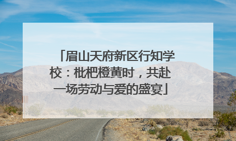 眉山天府新区行知学校：枇杷橙黄时，共赴一场劳动与爱的盛宴
