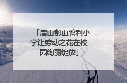 眉山彭山鹏利小学让劳动之花在校园绚丽绽放