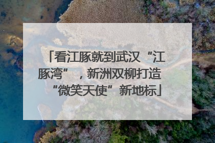 看江豚就到武汉“江豚湾”，新洲双柳打造“微笑天使”新地标