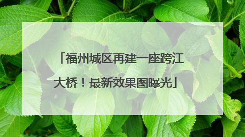 福州城区再建一座跨江大桥！最新效果图曝光