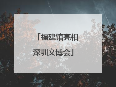 福建馆亮相深圳文博会