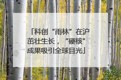 科创“雨林”在沪茁壮生长，“硬核”成果吸引全球目光