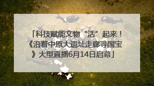 科技赋能文物“活”起来！《沿着中原大遗址走廊寻国宝》大型直播6月14日启幕