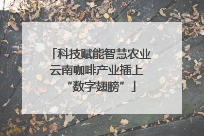 科技赋能智慧农业 云南咖啡产业插上“数字翅膀”
