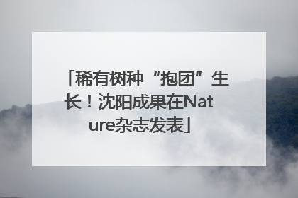 稀有树种“抱团”生长！沈阳成果在Nature杂志发表