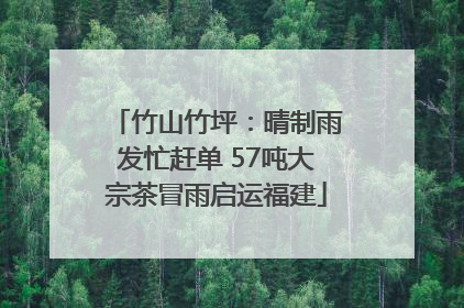 竹山竹坪：晴制雨发忙赶单 57吨大宗茶冒雨启运福建